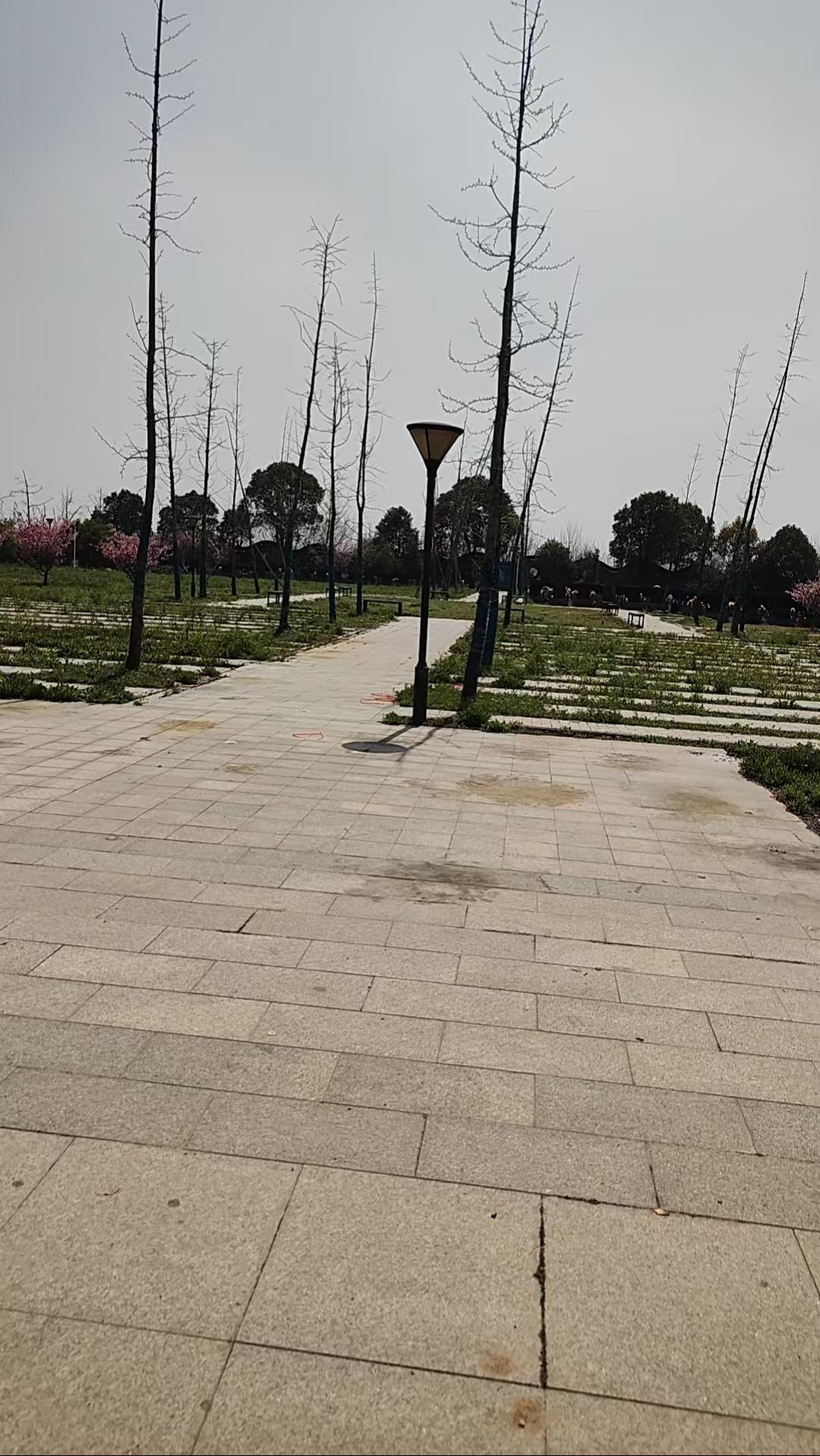经开区大路安息堂