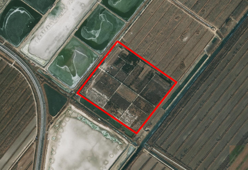 团泊镇公墓园区图片