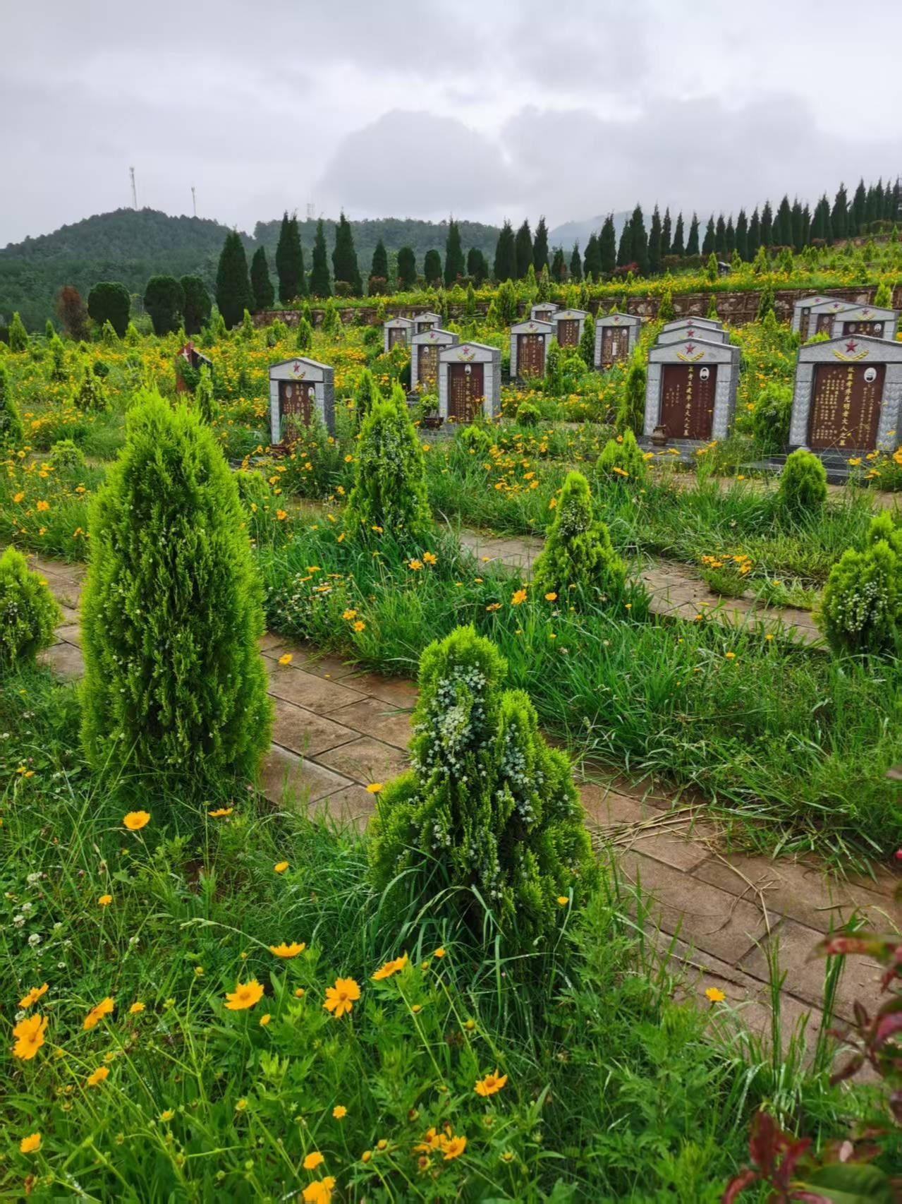 云南凤龙山生命文化艺术陵园园区图片
