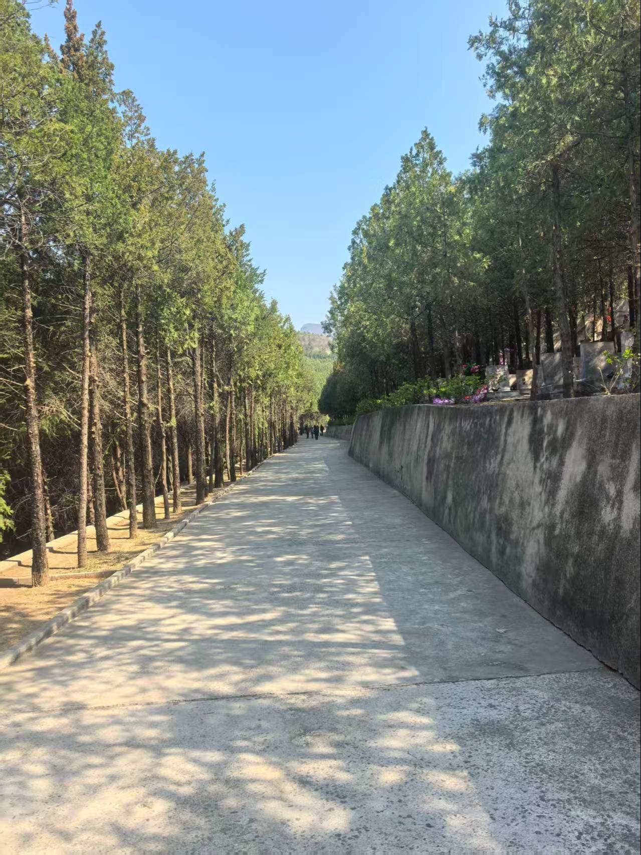 昌平区龙泉公墓园区图片
