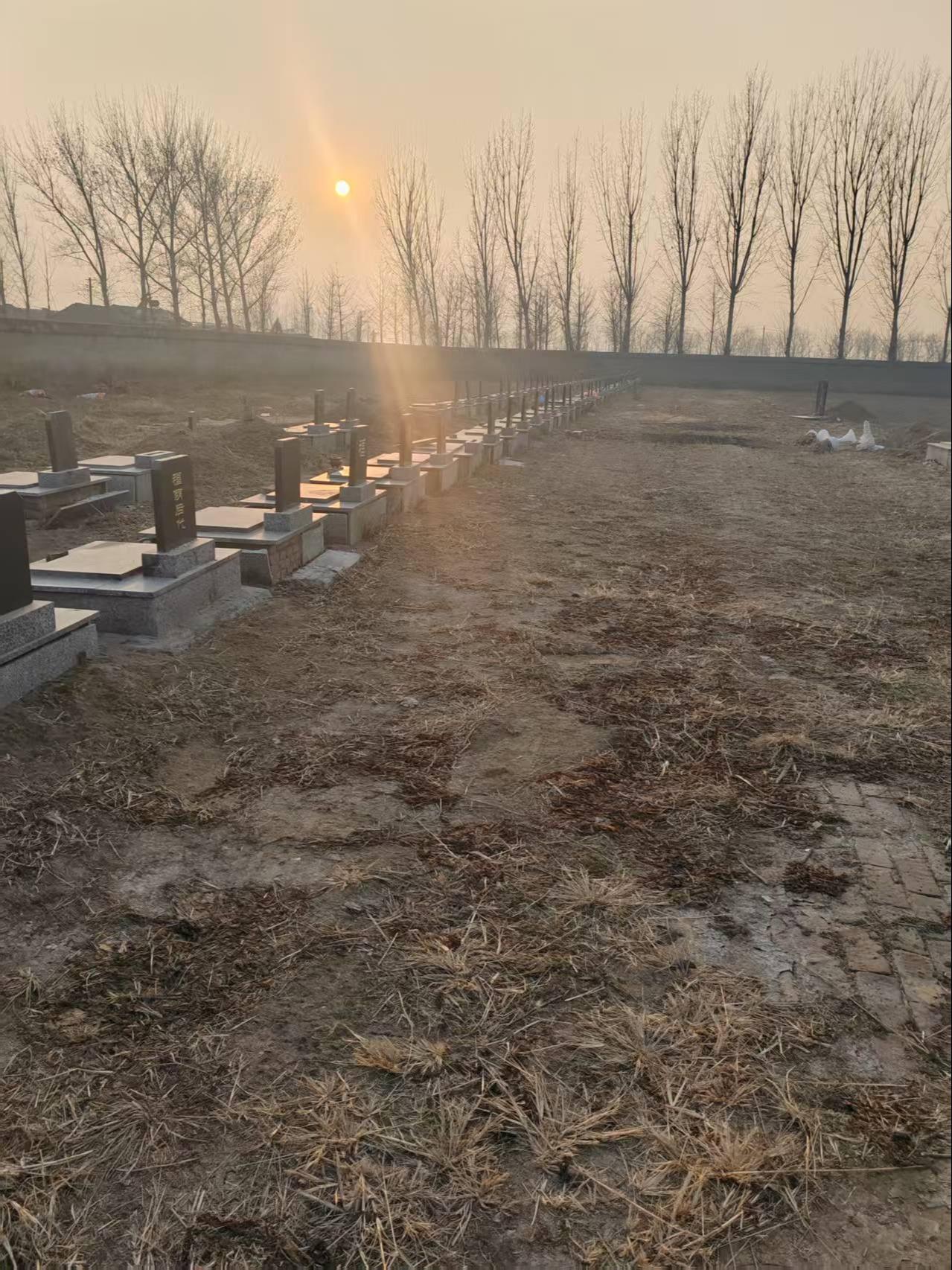 武清区城关镇静安园公益性公墓园区图片