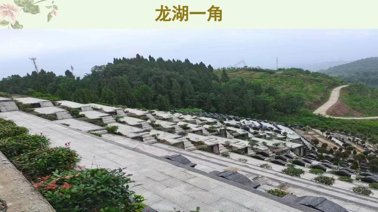 忠县龙湖公墓园区图片