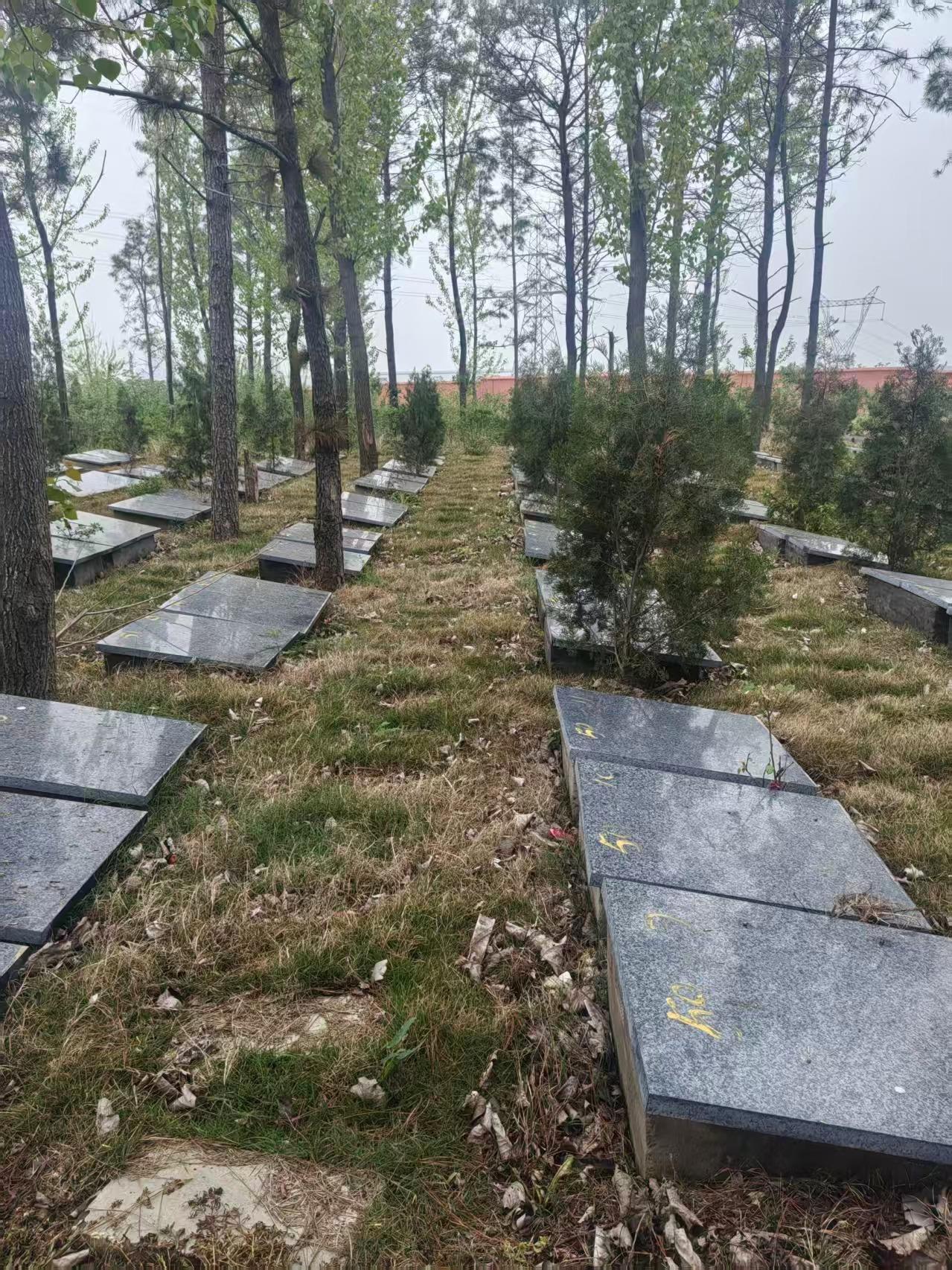 掇刀区白庙街道松园公墓园区图片
