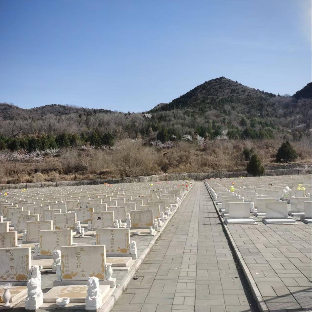 北京市平谷区山东庄镇公益性公墓园区图片