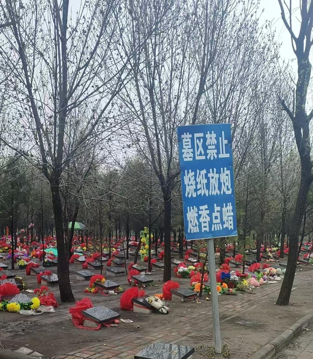 武清区上马台镇莲台公墓园区图片