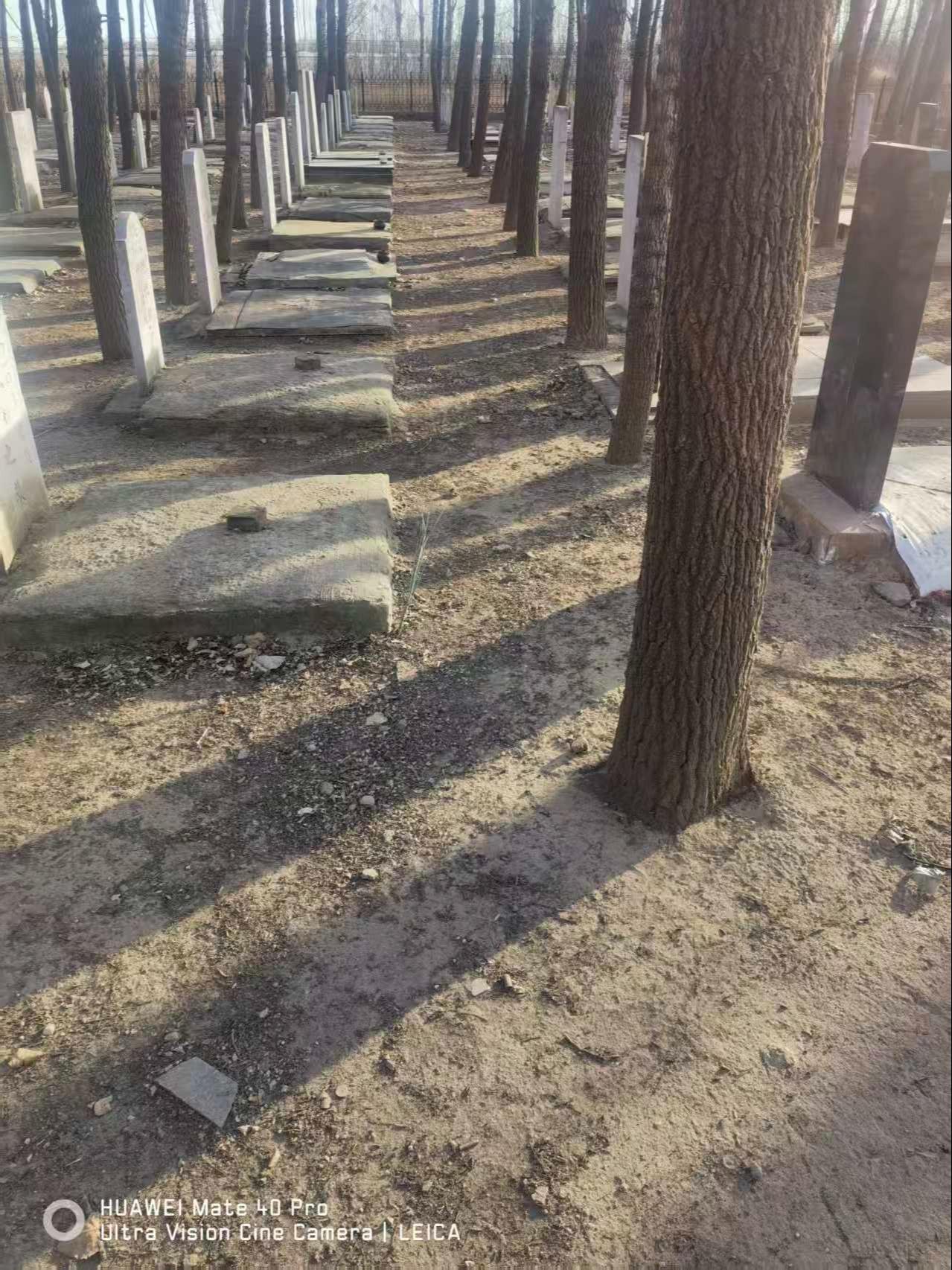 武清区高村镇乐安公益性公墓园区图片