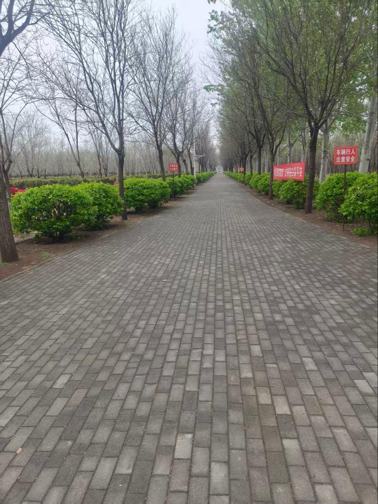 武清区永极园公墓园区图片