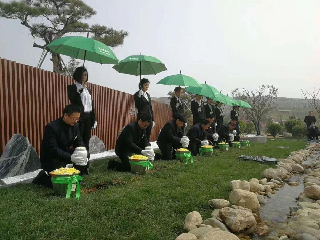 泰安市泰山长安陵园园区图片