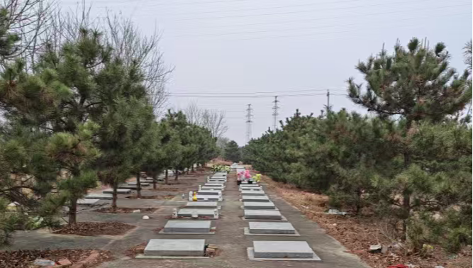 北京市顺义区杨镇地区沙子营村公益性公墓园区图片