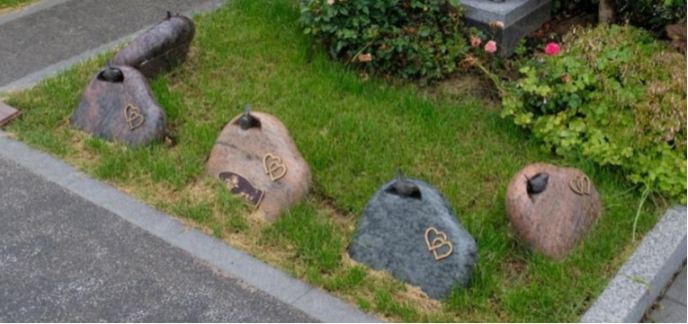 万福园园区图片