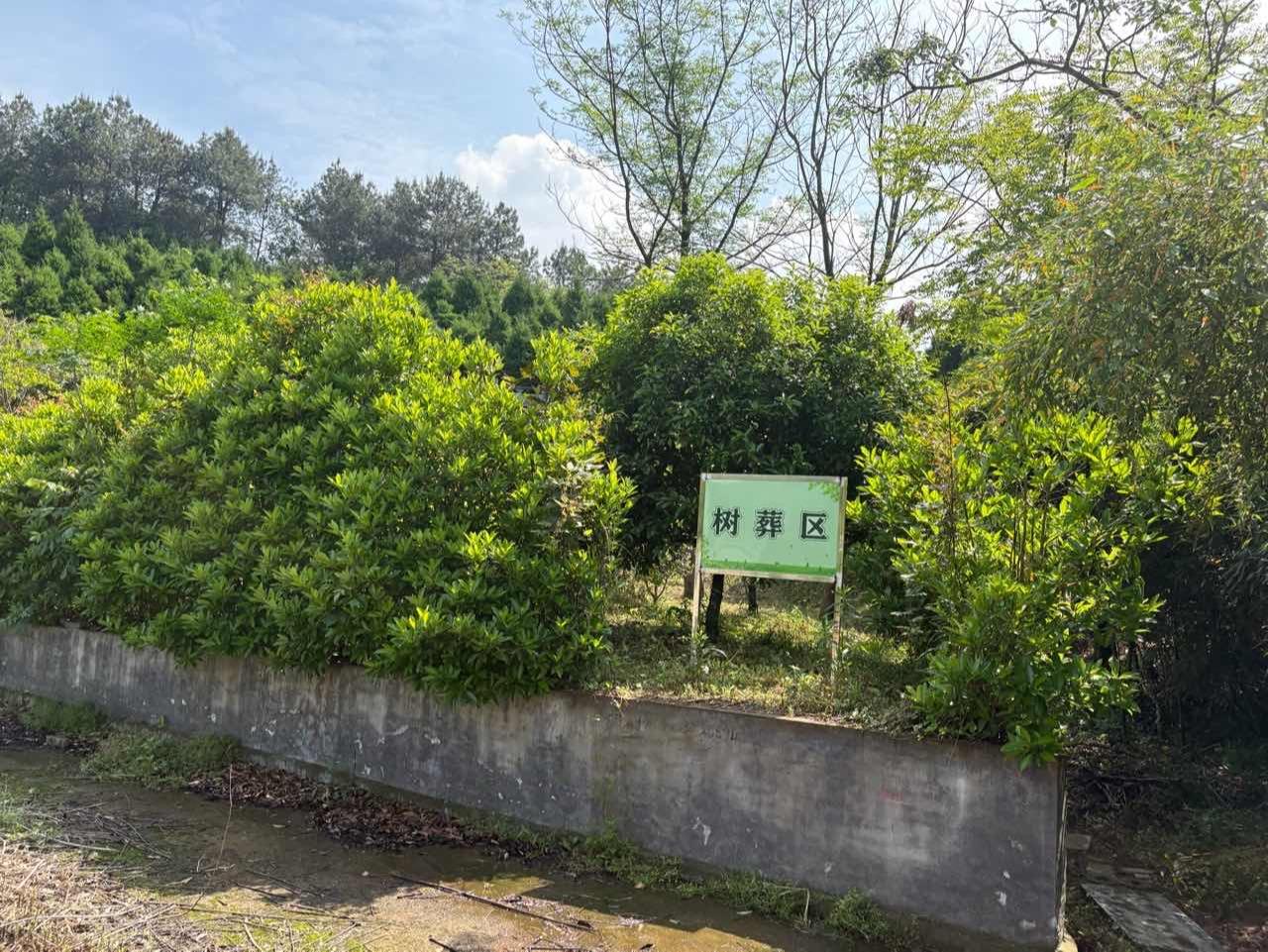 大唐街道南山镇级公益性公墓园区图片