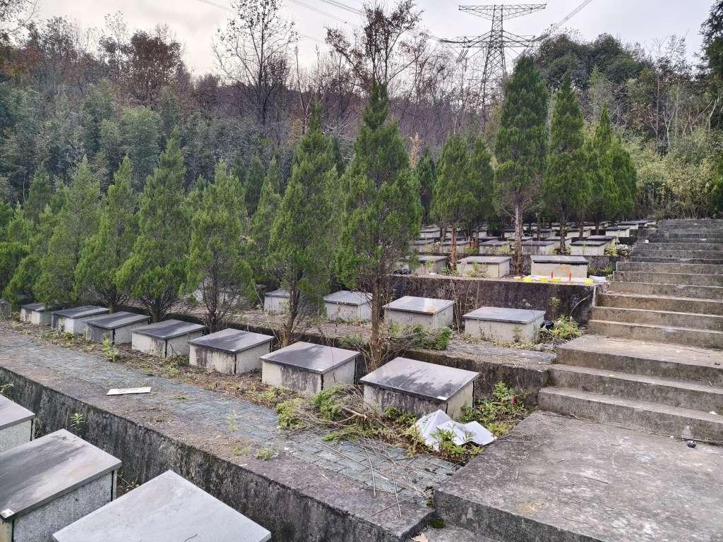 次坞镇楼家桥公墓园区图片