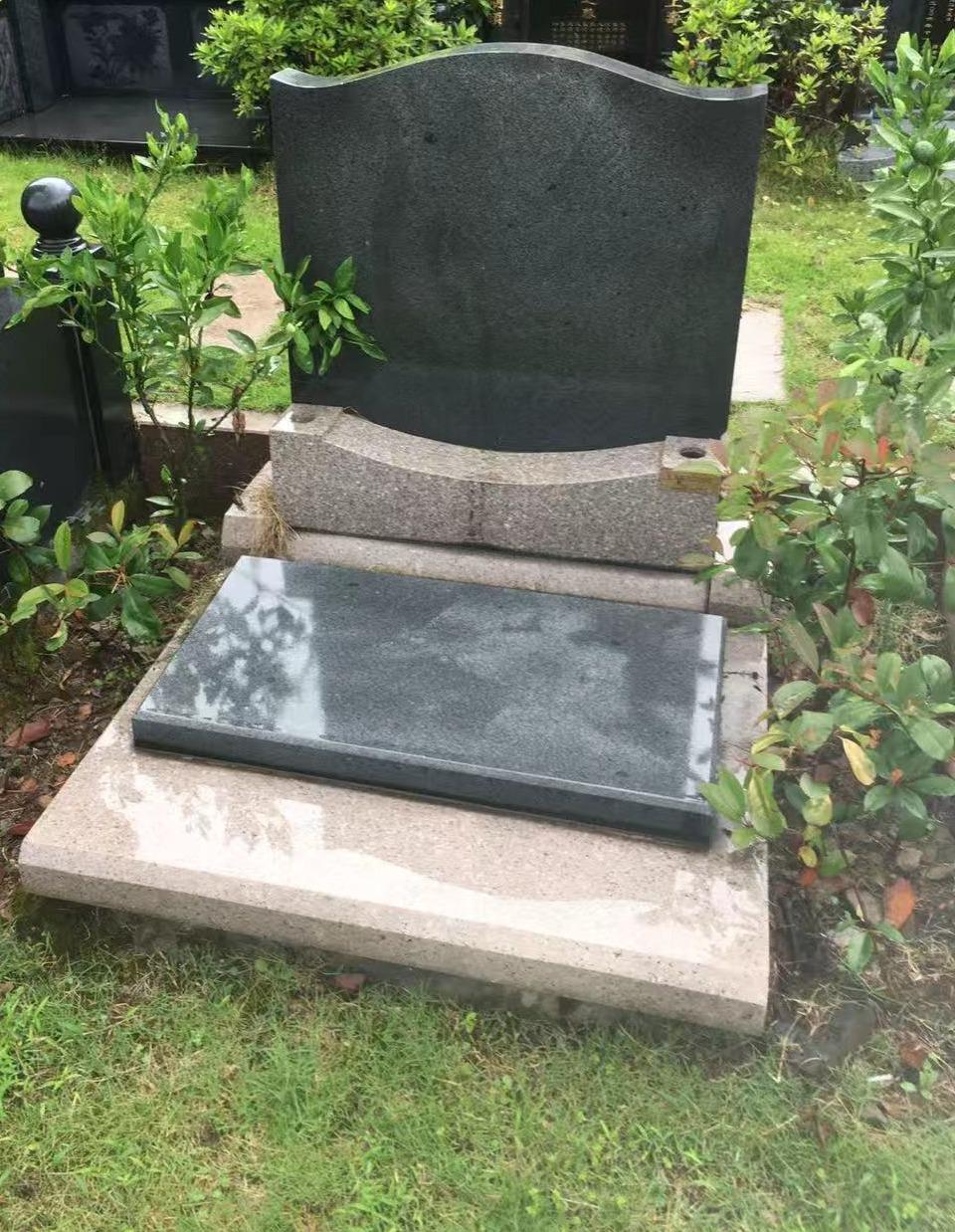 温州九龙生态园旅游有限公司园区图片