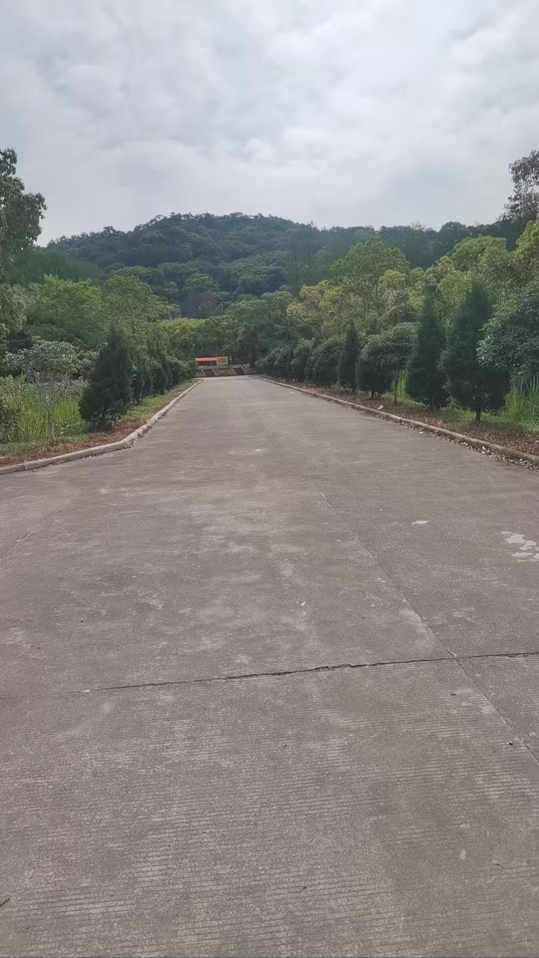 宁波高新区龙山公墓园区图片