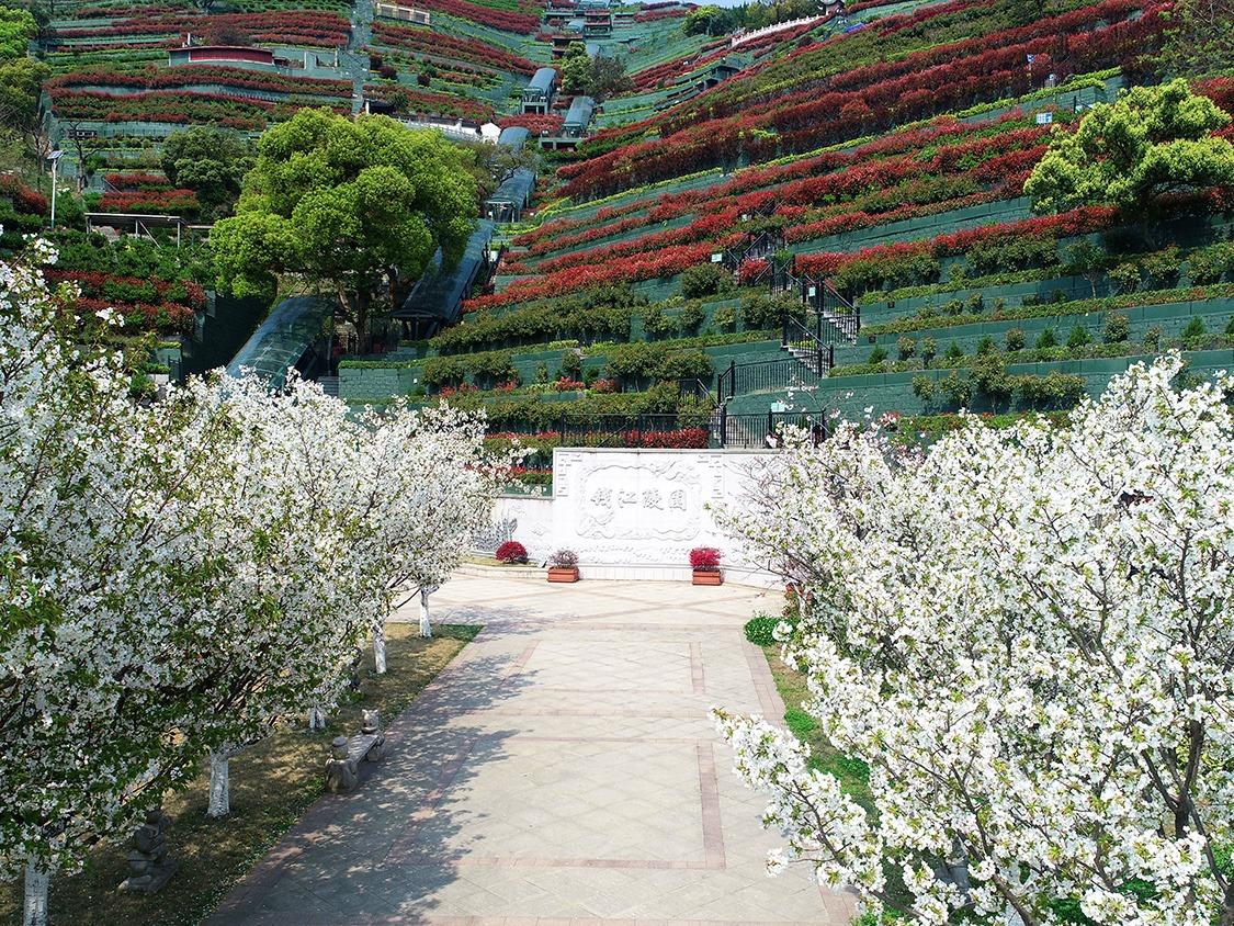 钱江陵园园区图片