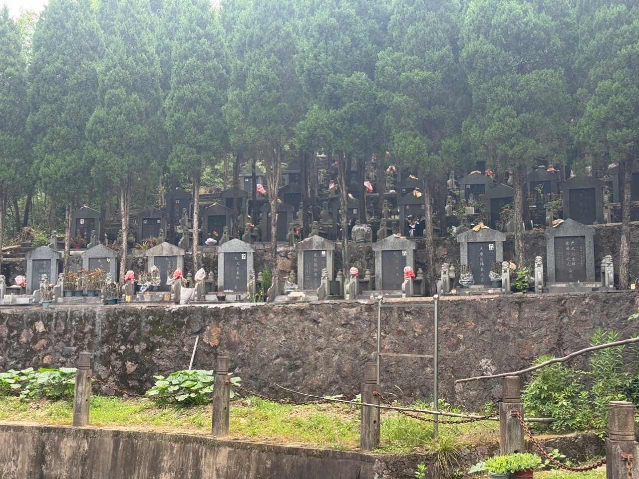 东阳市吴宁街道南山墓地（南午岭）园区图片