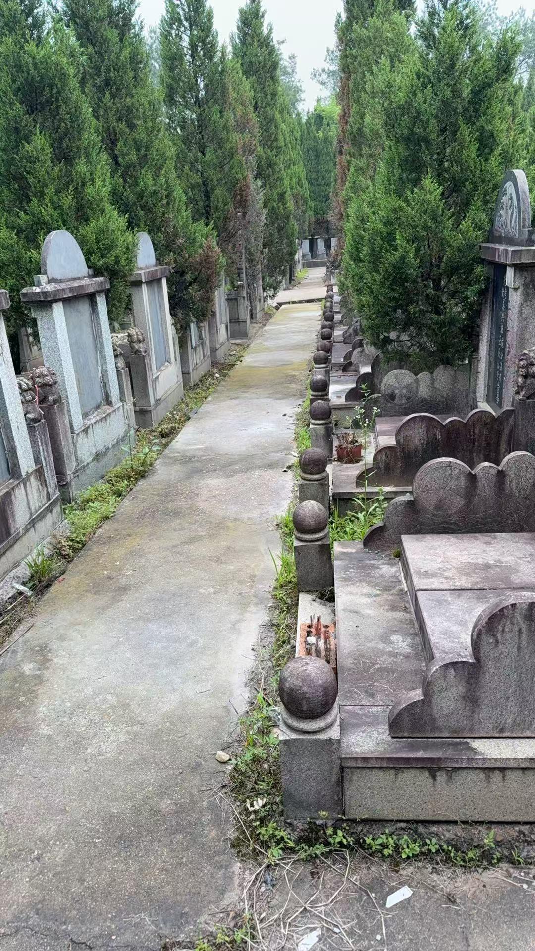 义乌市京山陵园公墓园区图片