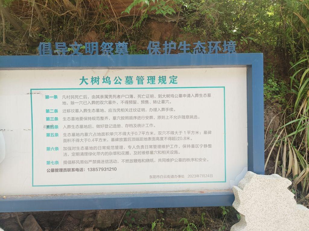 东阳市白云街道大树坞公墓园区图片