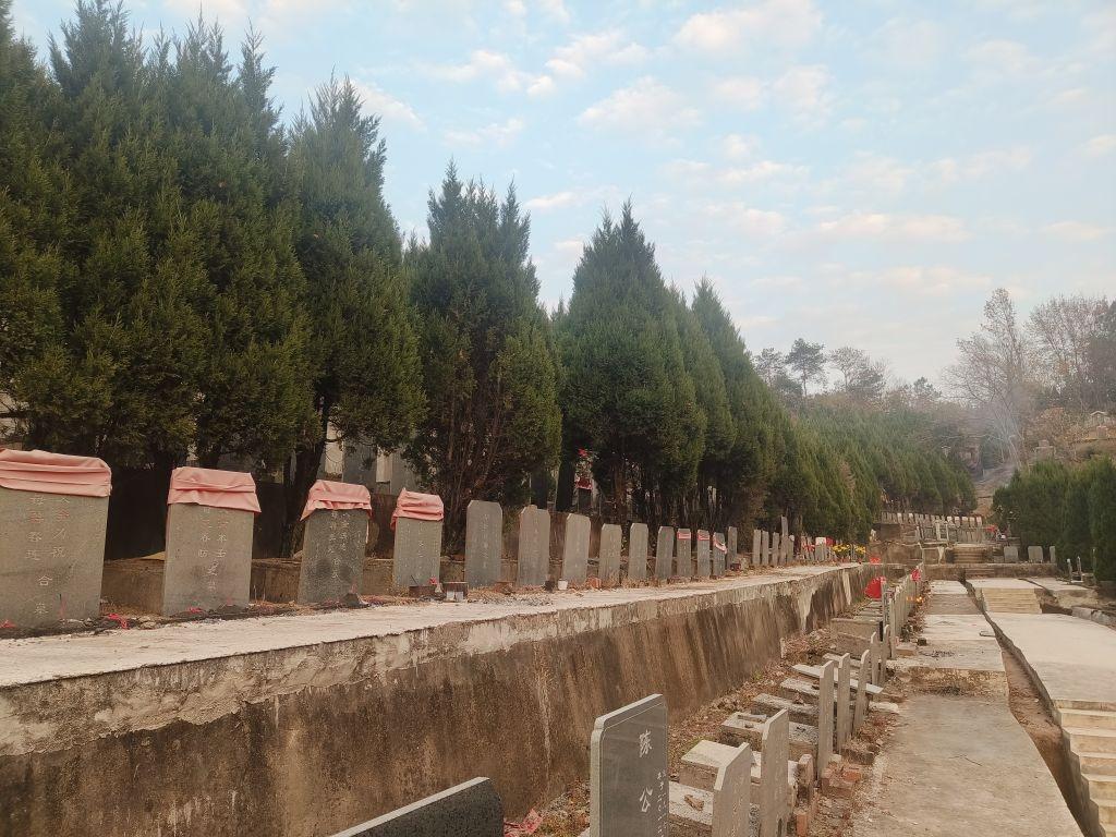 东阳市白云街道大树坞公墓园区图片