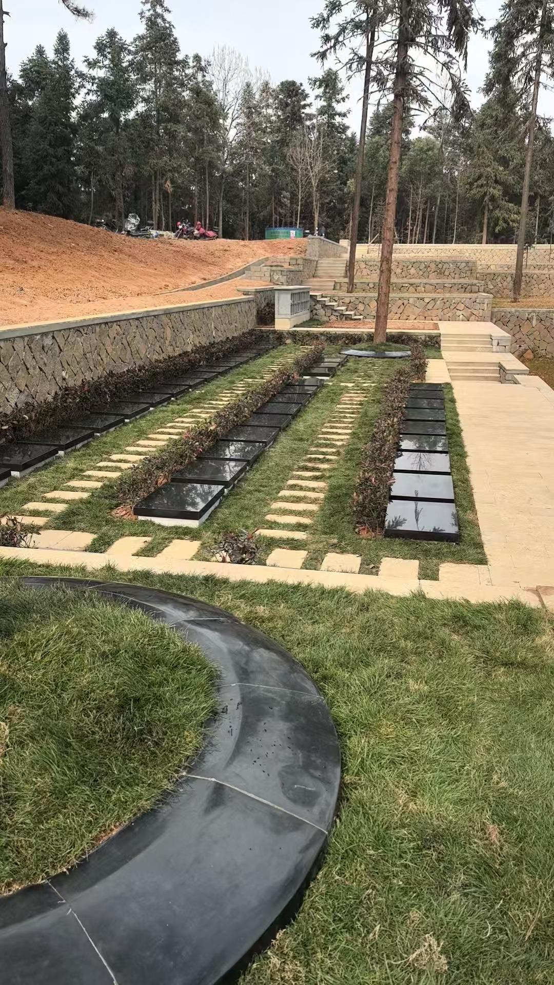 桐庐县旧县街道鸿儒村狮子口公墓园区图片