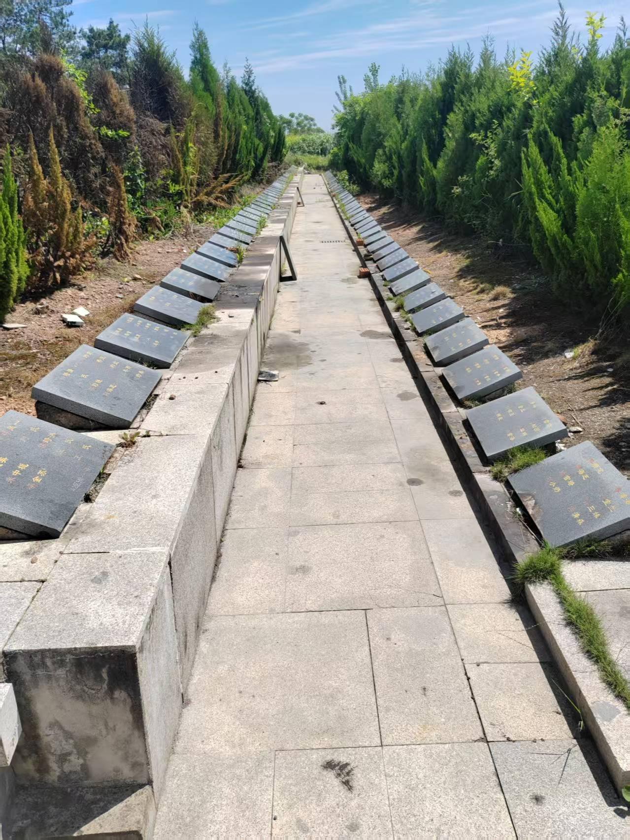 义乌市义亭镇生态公墓园区图片