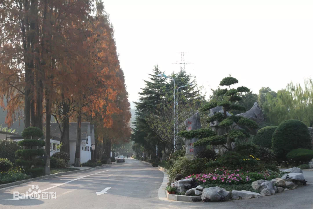 南山陵园园区图片