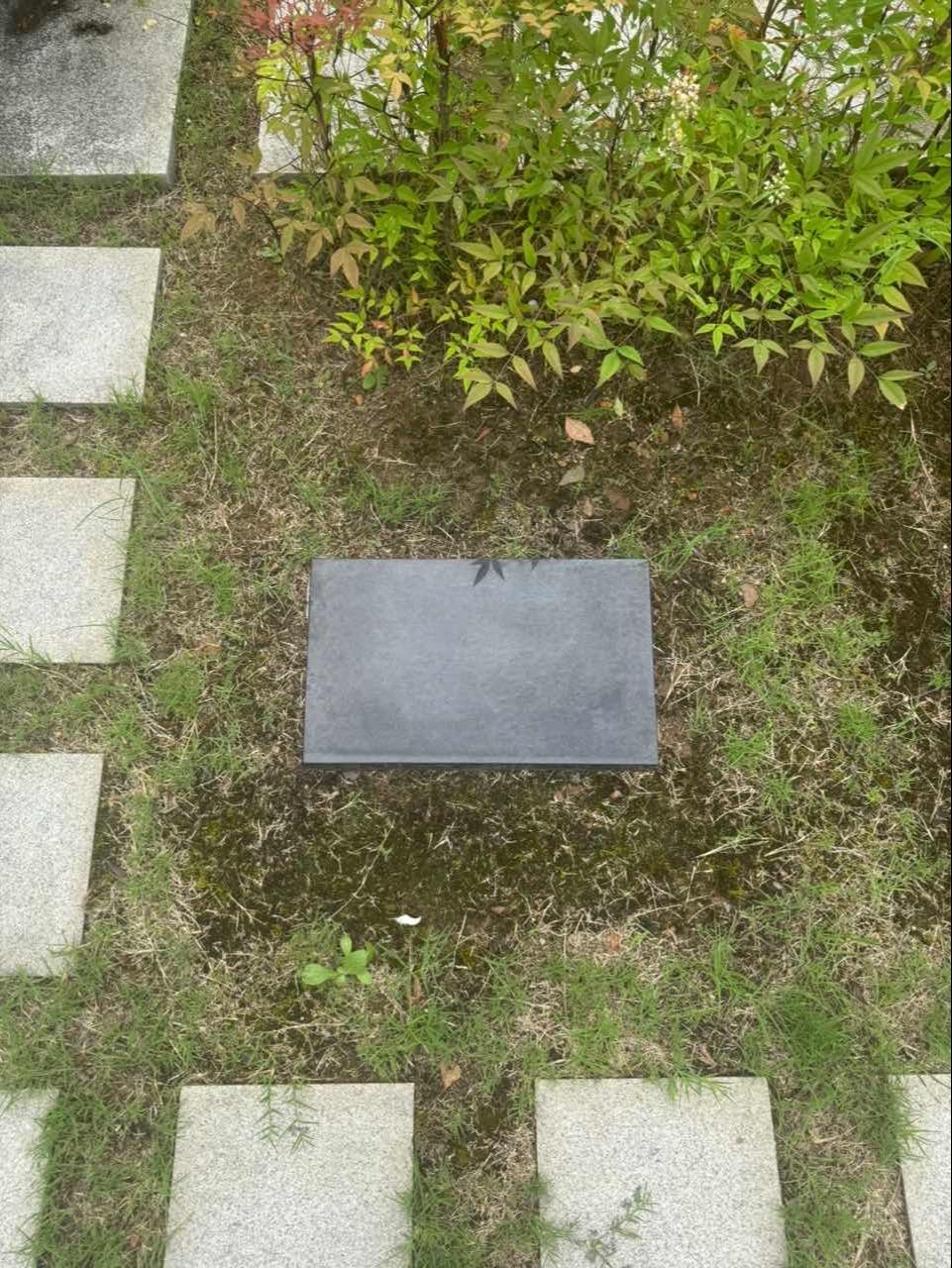 浦沿街道山二公墓园区图片