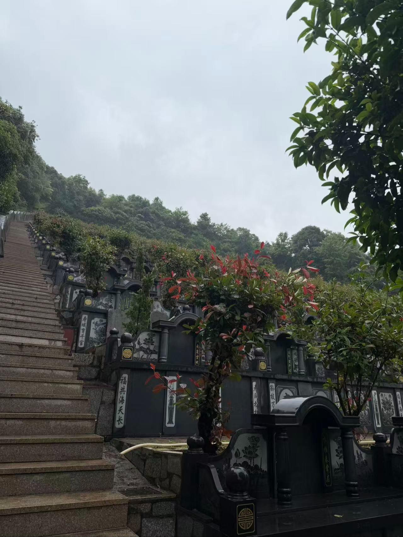 鳌江镇包岙村公益性墓地园区图片