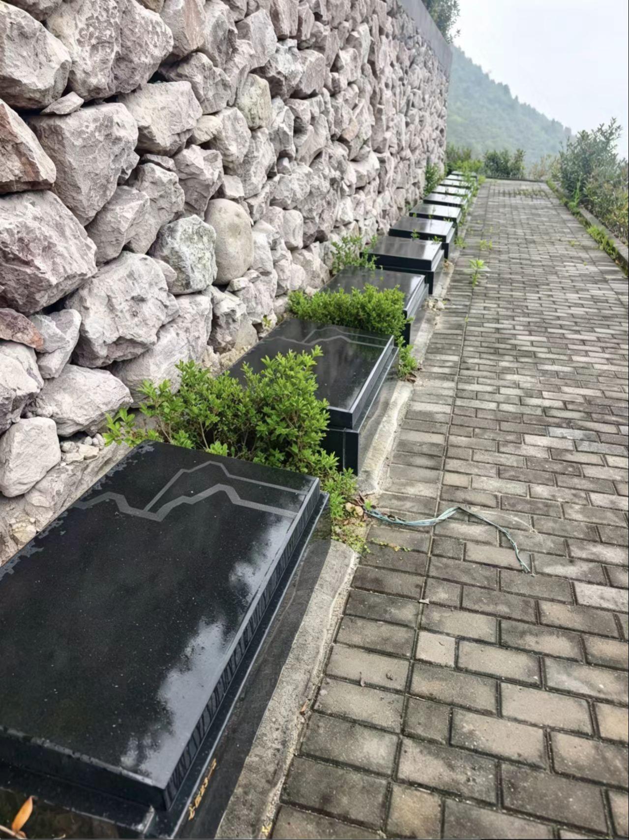 括苍镇大岙里人文纪念园园区图片