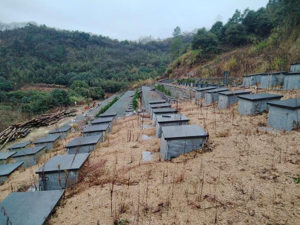诸暨市陈宅镇开化村岭后村生态公墓园区图片