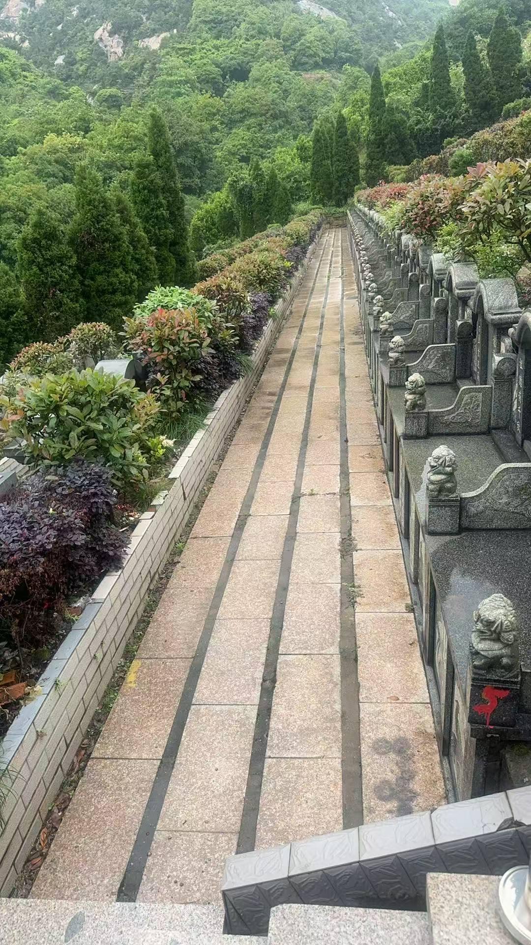 度山安乐陵园园区图片