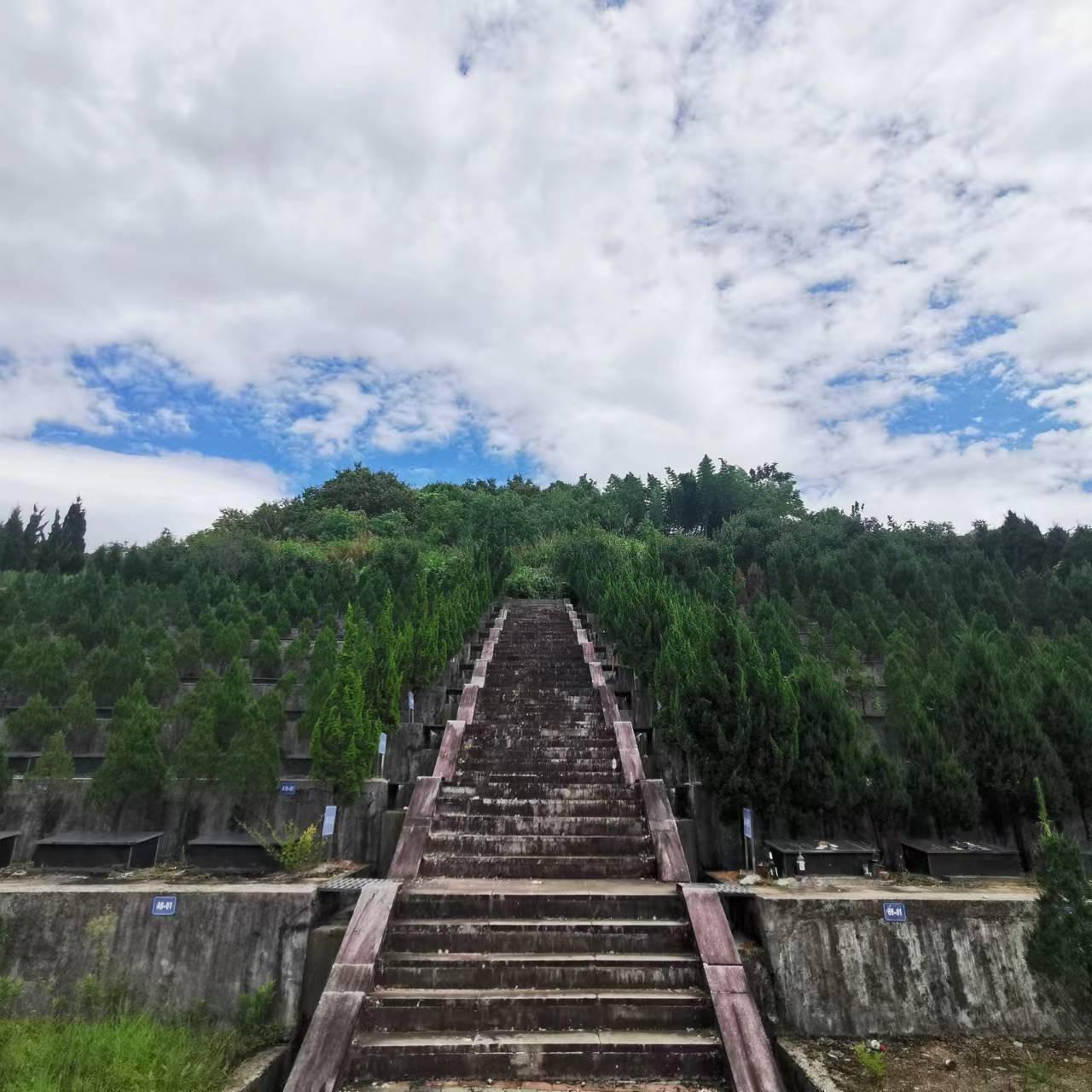 东白湖镇斜坞公墓园区图片