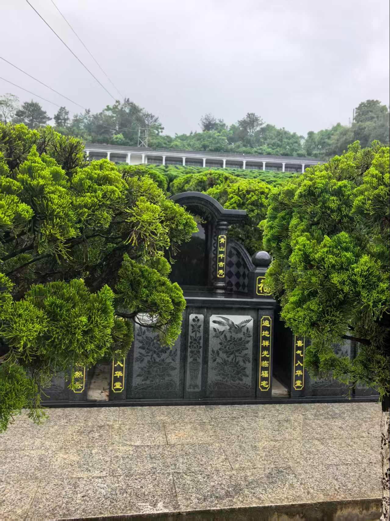 平阳县鳌江镇友谊村公益性公墓园区图片