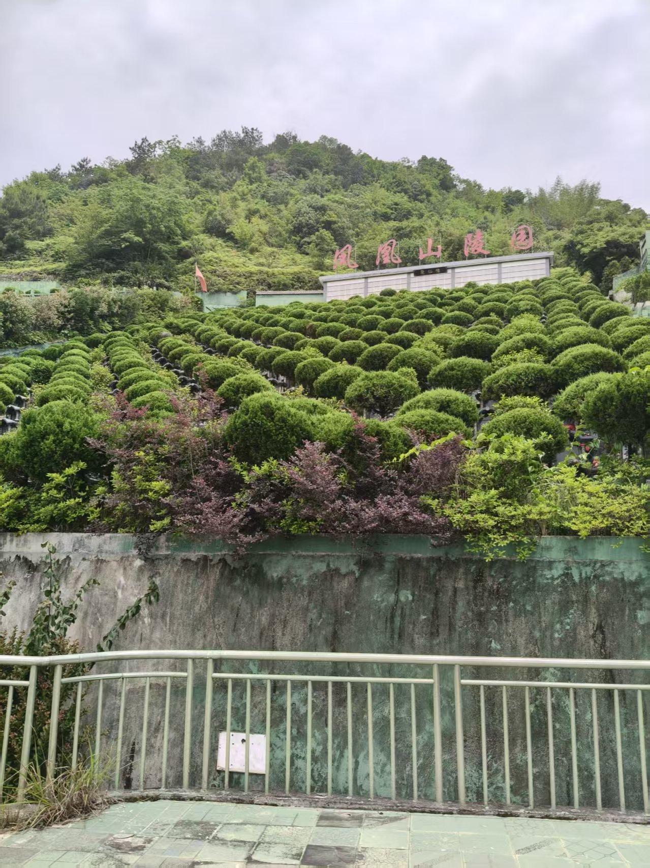 平阳县麻步镇西村村公益性墓地园区图片