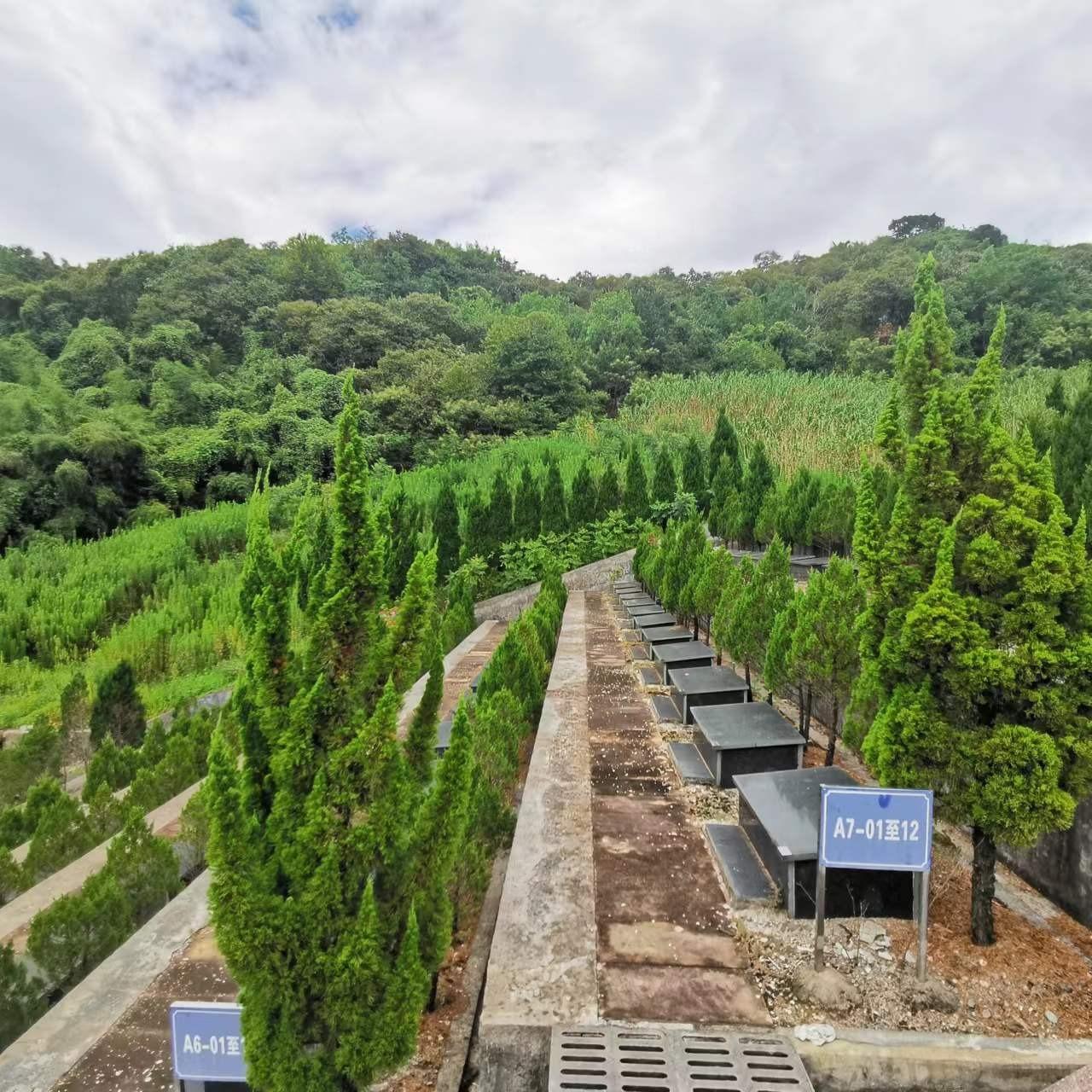 东白湖镇斜坞公墓园区图片