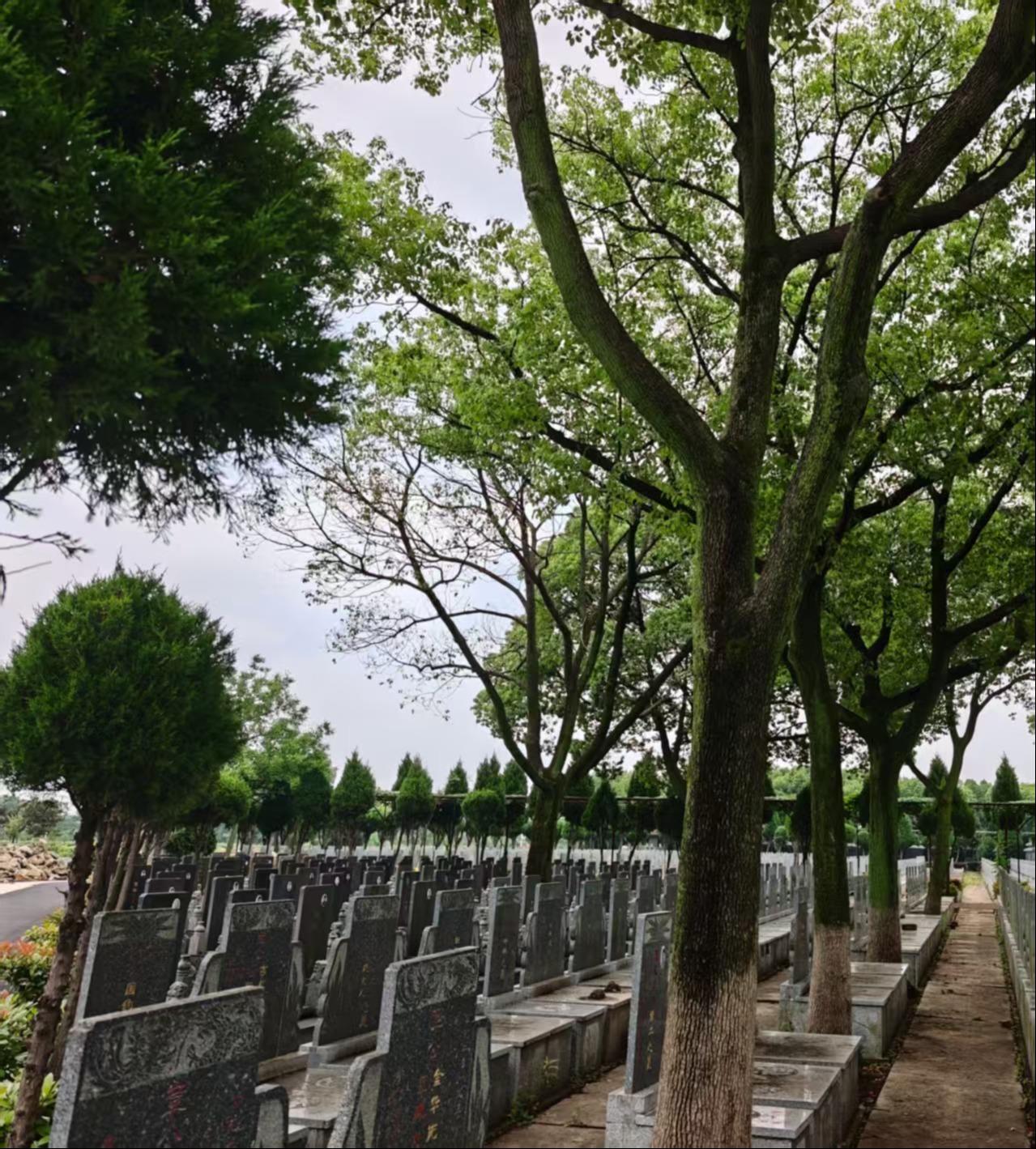 绍兴市上虞崧厦久安陵园园区图片