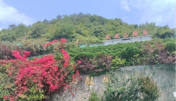 平阳县麻步镇西村村公益性墓地园区图片