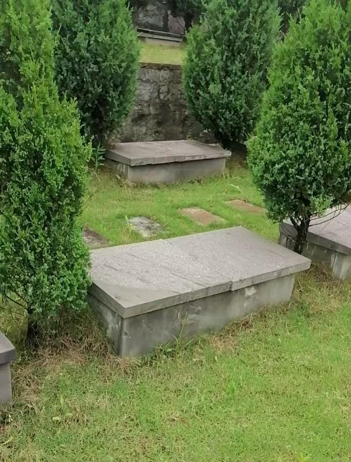 永康市江南街道大洪坑公墓园区图片