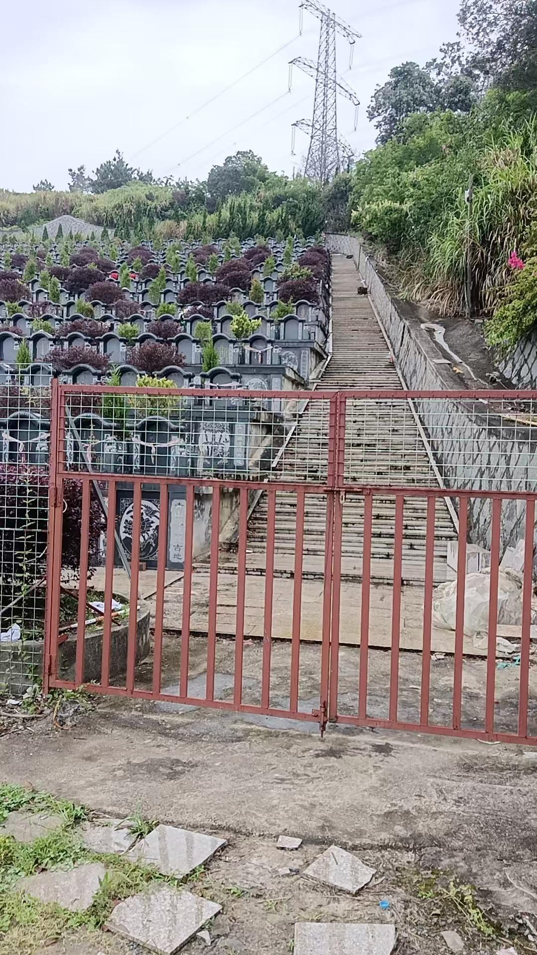 马站镇鸡头洋公益性公墓园区图片