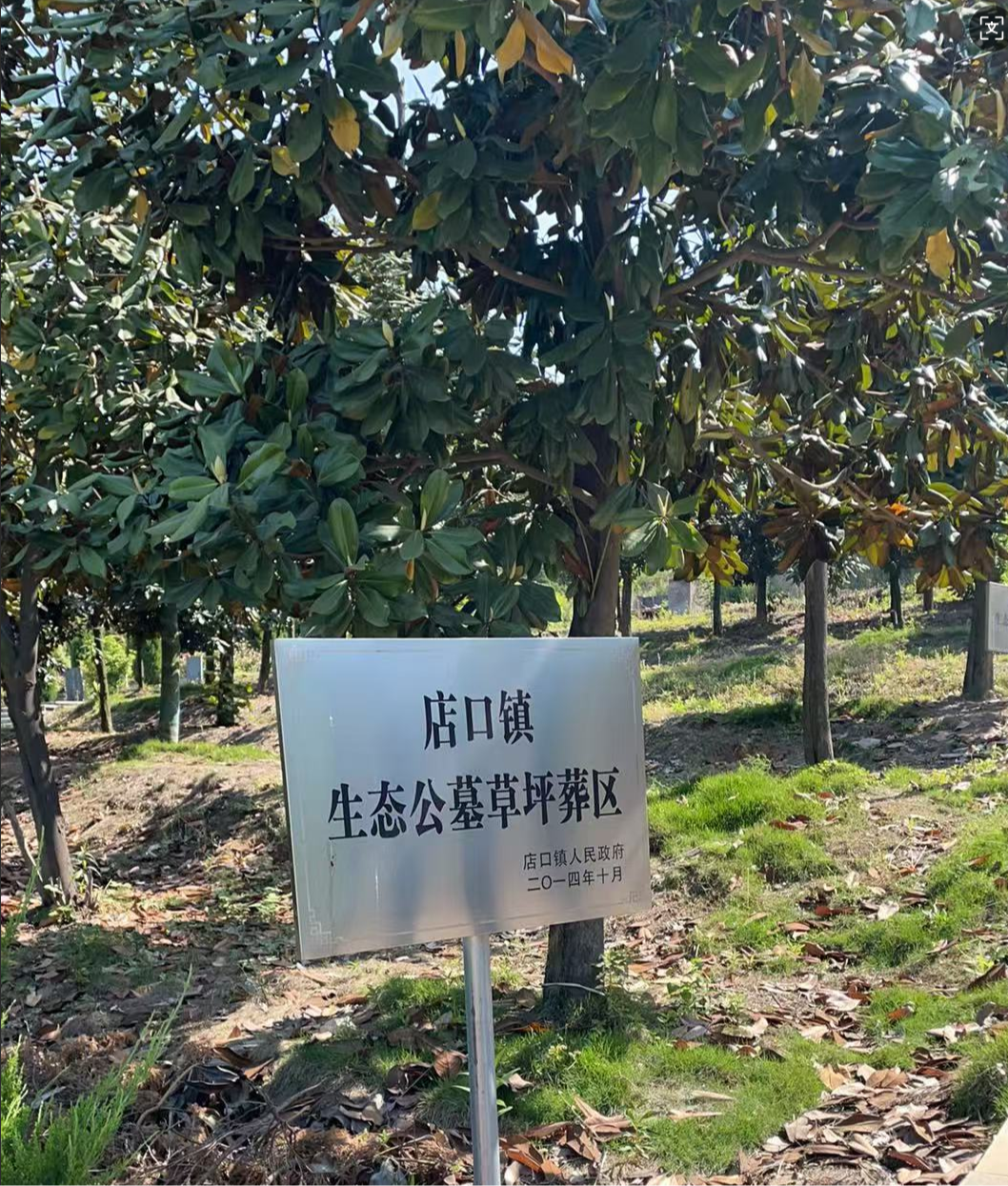 店口镇马坞底公墓园区图片