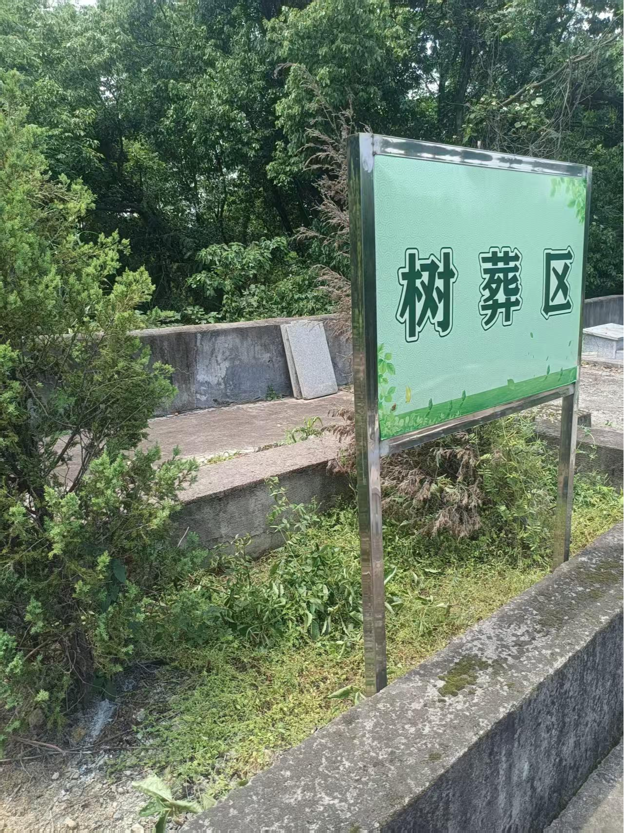 大唐街道麻车坞公益性公墓园区图片