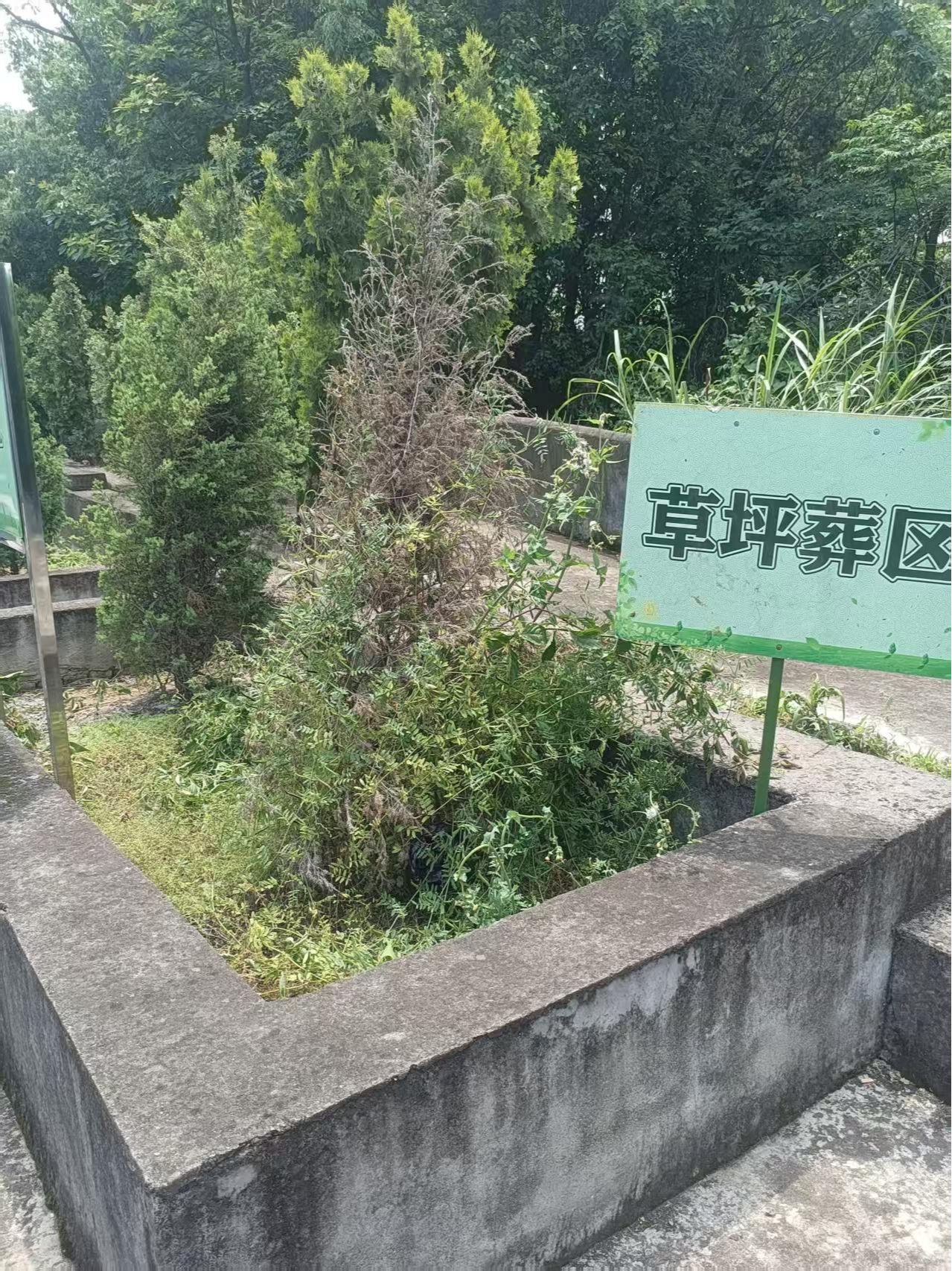 大唐街道麻车坞公益性公墓园区图片