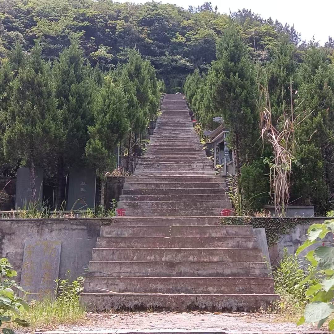 大唐街道杭金七村公益性公墓园区图片