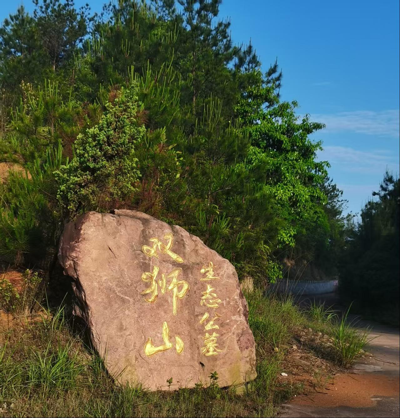 泰顺县大安乡双狮山公墓服务中心