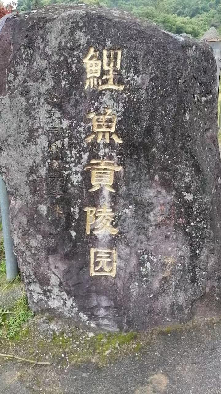 灵溪镇鲤鱼贡公益性公墓