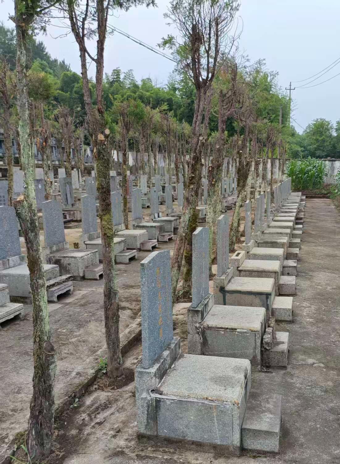 上虞区汤浦镇舜江陵园园区图片