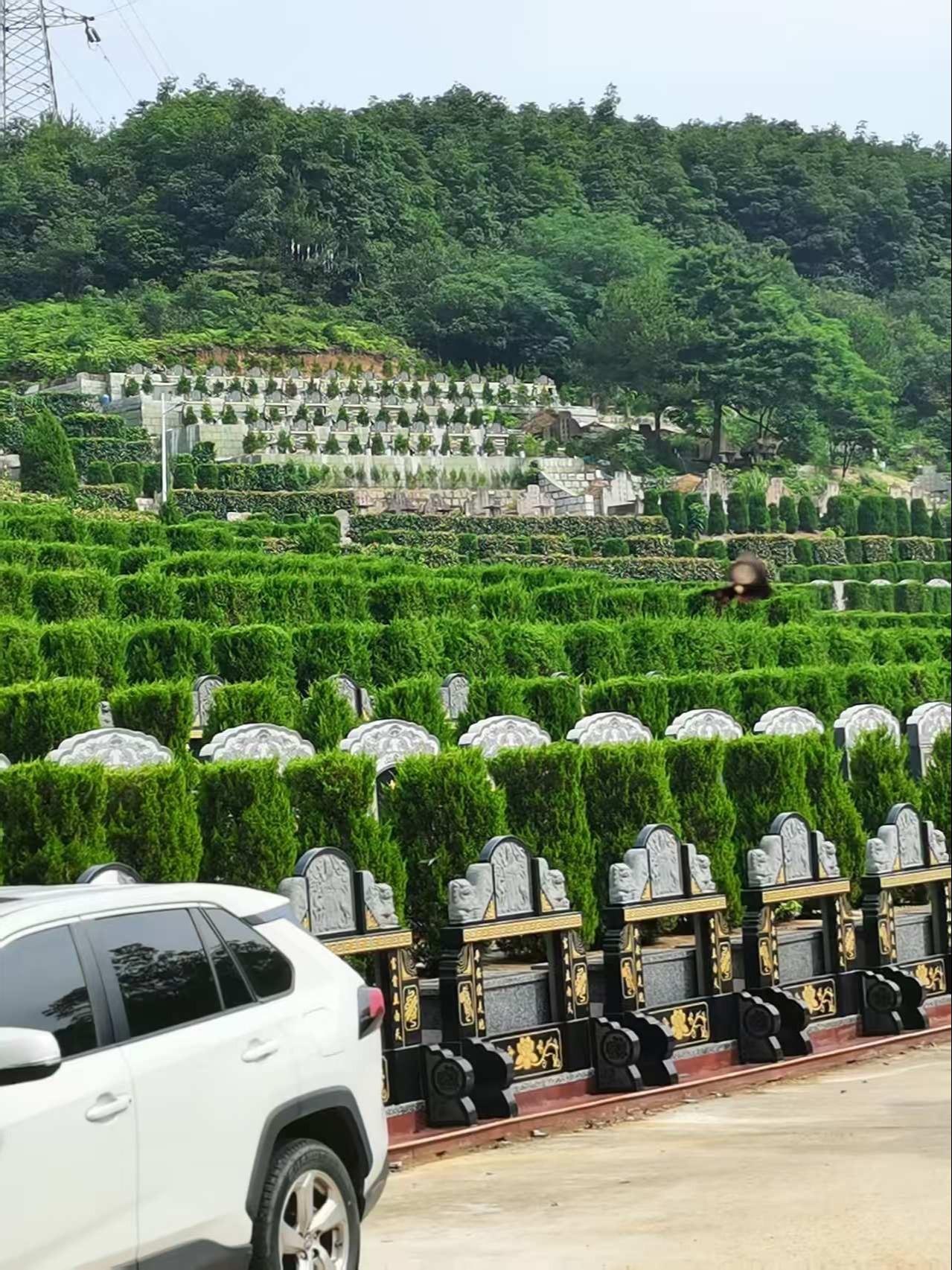 浙江省宁波市北仑区方前村公墓园区图片