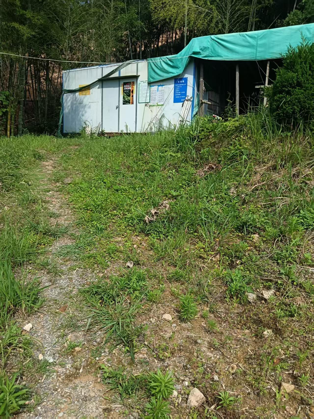 灵溪镇凤鹤村公益性公墓园区图片