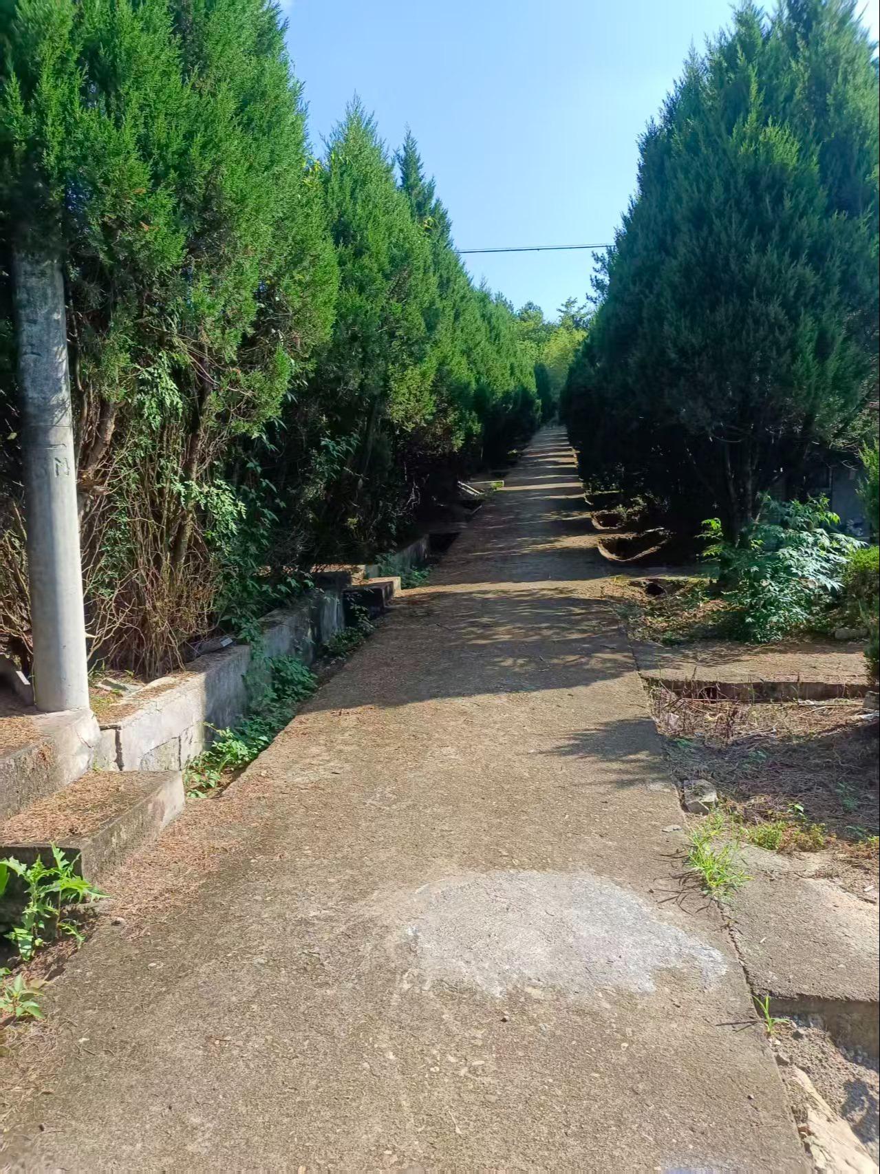 嵊州市天府公墓园区图片