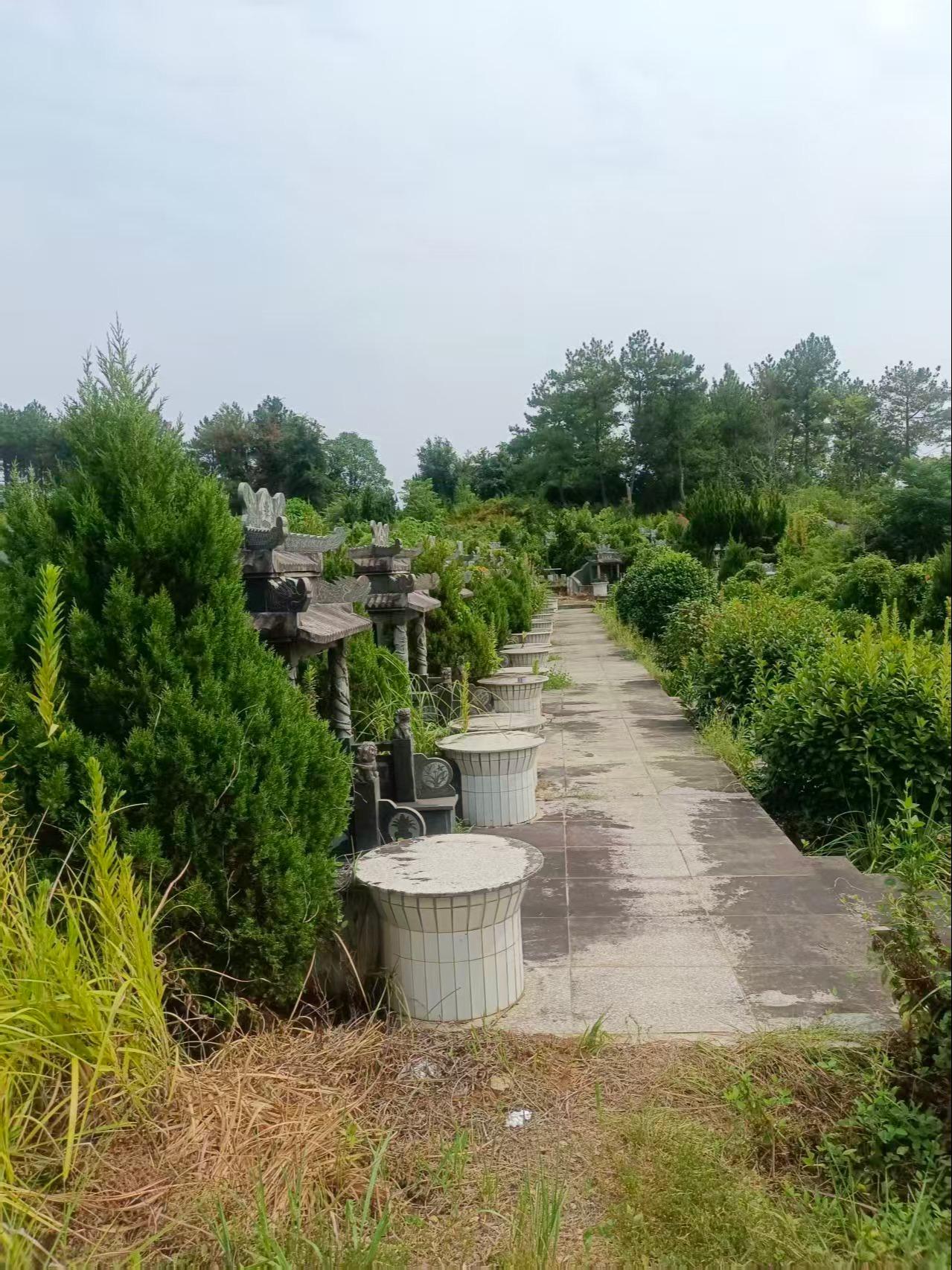 嵊州市天府公墓园区图片